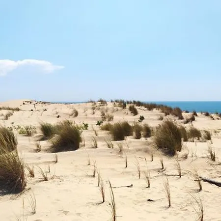 Maison 6 Pers, Proche Mer, Patio, Parking - Fr-1-705-11 Prázdninový dům *